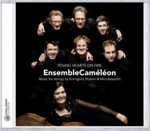 Ensemble Cameleon - Young Hearts On Fire ryhmässä CD @ Bengans Skivbutik AB (4045990)