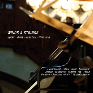 Spohr - Winds & Strings ryhmässä CD @ Bengans Skivbutik AB (4046242)