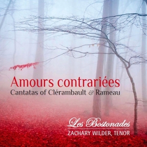 Rameau - Amours Contrariees ryhmässä CD @ Bengans Skivbutik AB (4048297)