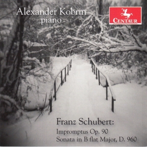 Alexander Kobrin - Franz Schubert ryhmässä CD @ Bengans Skivbutik AB (4048916)