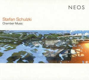 S. Schulzki - Chamber Music ryhmässä CD @ Bengans Skivbutik AB (4050497)