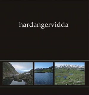 Ildjarn Nidhogg - Hardangervidda I (Green Vinyl Lp) ryhmässä VINYYLI @ Bengans Skivbutik AB (4052108)