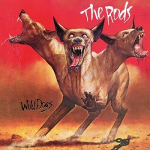 The Rods - Wild Dogs ryhmässä CD @ Bengans Skivbutik AB (4053518)