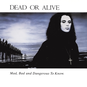 Dead Or Alive - Mad, Bad And Dangerous To Know ryhmässä CD / Pop-Rock @ Bengans Skivbutik AB (4054567)