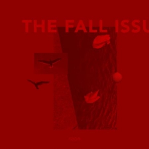 Post Pines - The Fall Issue ryhmässä Pop @ Bengans Skivbutik AB (4055381)