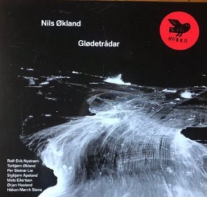 Ökland Nils - Glödetrådar ryhmässä VINYYLI @ Bengans Skivbutik AB (4060426)