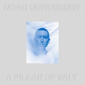 Noah Gundersen - A Pillar Of Salt ryhmässä VINYYLI @ Bengans Skivbutik AB (4060947)