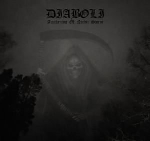 Diaboli - Awakening Of Nordic Storm (Vinyl Lp ryhmässä VINYYLI @ Bengans Skivbutik AB (4068456)