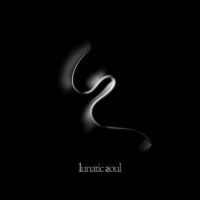 LUNATIC SOUL - LUNATIC SOUL ryhmässä CD @ Bengans Skivbutik AB (4068464)