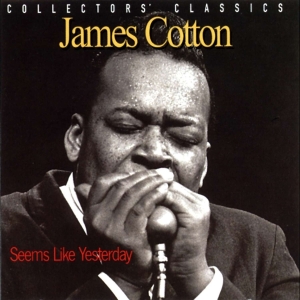 Cotton James - Seems Like Yesterday ryhmässä CD @ Bengans Skivbutik AB (4070120)