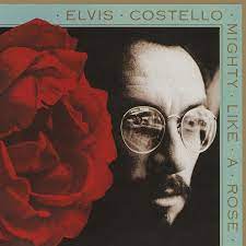 Costello Elvis - Mighty Like A Rose ryhmässä Minishops / Elvis Costello @ Bengans Skivbutik AB (4070963)