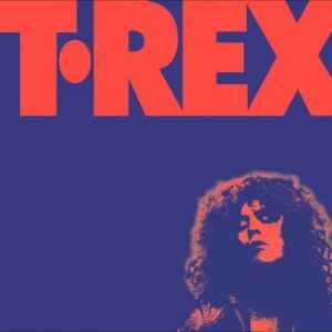 Bolan Marc & T. Rex - Alternative Singles Collection ryhmässä CD @ Bengans Skivbutik AB (4071090)