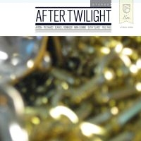 Various Artists - After Twilight ryhmässä CD @ Bengans Skivbutik AB (4073207)