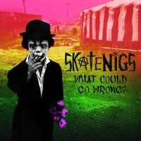 Skatenigs - What Could Go Wrong? ryhmässä CD @ Bengans Skivbutik AB (4075146)