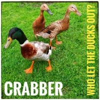 Crabber - Who Let The Ducks Out? ryhmässä CD @ Bengans Skivbutik AB (4077055)