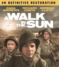 A Walk In The Sun: The Definitive R - Film (2Br) ryhmässä Musiikki / Musiikki Blu-Ray / Film/Musikal @ Bengans Skivbutik AB (4077109)