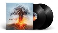 Amorphis - Skyforger (Black Vinyl 2 Lp) ryhmässä VINYYLI @ Bengans Skivbutik AB (4077440)