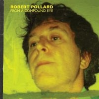 Pollard Robert - From A Compound Eye ryhmässä ME SUOSITTELEMME / Joululahjavinkki: Vinyyli @ Bengans Skivbutik AB (4078355)