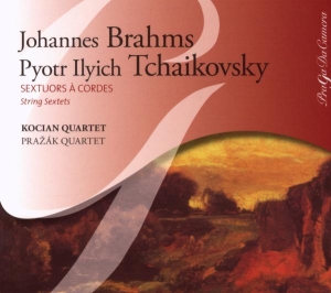 Brahms - Sextuor A Cordes ryhmässä CD @ Bengans Skivbutik AB (4080397)