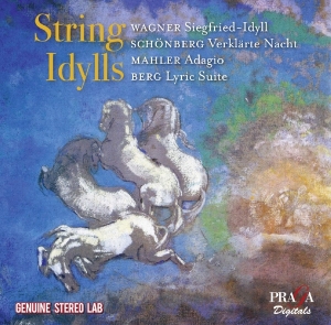 V/A - String Idylls ryhmässä CD @ Bengans Skivbutik AB (4080440)