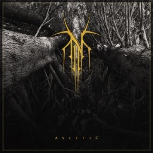 Norse - Ascetic (Digipack) ryhmässä CD @ Bengans Skivbutik AB (4080931)