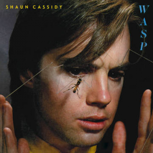 Cassidy Shaun - Wasp (Rsd) ryhmässä VINYYLI @ Bengans Skivbutik AB (4092217)