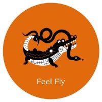 Feel Fly - Cosmo Cosmo ryhmässä VINYYLI @ Bengans Skivbutik AB (4101517)