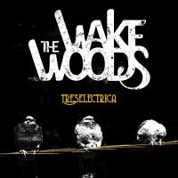 Wake Woods - Treselectrica ryhmässä CD @ Bengans Skivbutik AB (4112163)