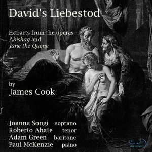 Cook James - David's Liebestod ryhmässä ME SUOSITTELEMME / Joululahjavinkki: CD @ Bengans Skivbutik AB (4112899)