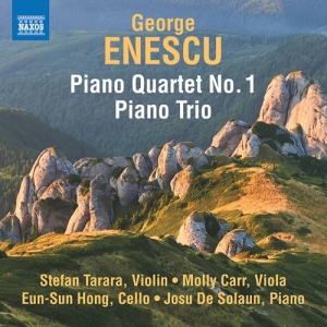 Enescu George - Piano Trio In A Minor & Piano Quart ryhmässä ME SUOSITTELEMME / Joululahjavinkki: CD @ Bengans Skivbutik AB (4119351)