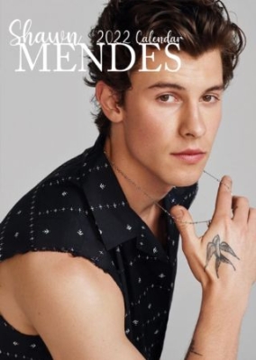 Shawn Mendes - Unofficial 2022 Calendar ryhmässä Minishops / Shawn Mendes @ Bengans Skivbutik AB (4124089)