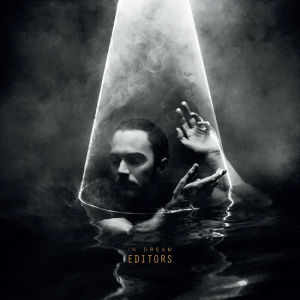 Editors - In Dream (Clear Vinyl) ryhmässä VINYYLI @ Bengans Skivbutik AB (4125640)