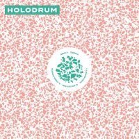 Holodrum - Holodrum ryhmässä VINYYLI @ Bengans Skivbutik AB (4128514)