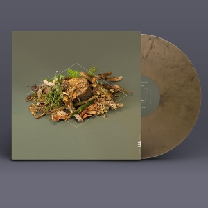 Fergus Mccreadie - Forest Floor ryhmässä VINYYLI @ Bengans Skivbutik AB (4128602)