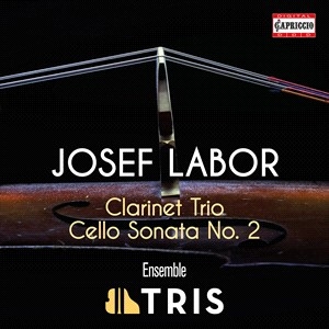 Labor Josef - Clarinet Trio Cello Sonata No. 2 ryhmässä ME SUOSITTELEMME / Joululahjavinkki: CD @ Bengans Skivbutik AB (4132885)