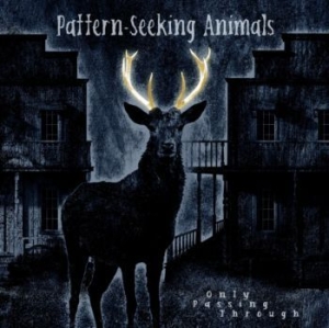 Pattern-Seeking Animals - Only Passing Through ryhmässä VINYYLI @ Bengans Skivbutik AB (4132969)