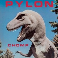 Pylon - Chomp (Indie Exclusive, Black Casse ryhmässä Rock @ Bengans Skivbutik AB (4134342)