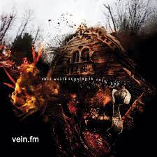 Vein.Fm - This World Is Going To Ruin Yo ryhmässä VINYYLI @ Bengans Skivbutik AB (4135239)