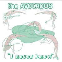 Avocados - I Never Knew ryhmässä VINYYLI @ Bengans Skivbutik AB (4143142)