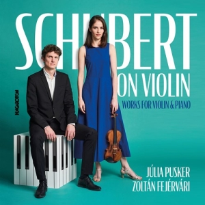 Schubert Franz - Schubert On Violin - Works For Viol ryhmässä CD @ Bengans Skivbutik AB (4146002)