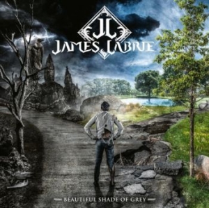 Labrie James - Beautiful Shade Of Grey ryhmässä VINYYLI @ Bengans Skivbutik AB (4147709)