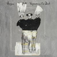 Barzin - Voyeurs In The Dark ryhmässä VINYYLI @ Bengans Skivbutik AB (4150708)