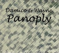 Wayne Hayden & Jason Damico - Panoply Damico & Wayne ryhmässä CD @ Bengans Skivbutik AB (4150827)