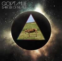 Gov't Mule - Dark Side Of The Mule (Glow In The ryhmässä VINYYLI @ Bengans Skivbutik AB (4151066)