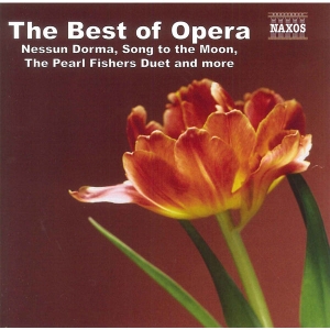 Various - The Best Of Opera ryhmässä CD @ Bengans Skivbutik AB (4151219)