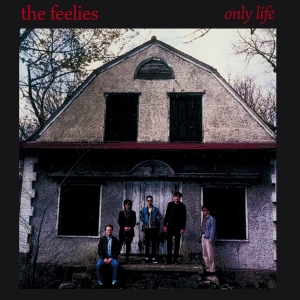 Feelies - Only Life ryhmässä CD @ Bengans Skivbutik AB (4154537)