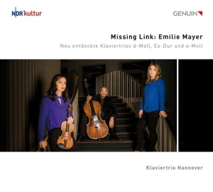 Mayer Emilie - Missing Link ryhmässä ME SUOSITTELEMME / Joululahjavinkki: CD @ Bengans Skivbutik AB (4162282)