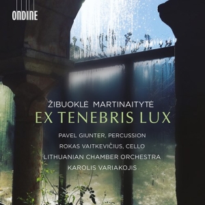 Martinaityte Zibuokle - Ex Tenebris Lux ryhmässä ME SUOSITTELEMME / Joululahjavinkki: CD @ Bengans Skivbutik AB (4162286)