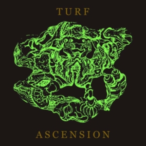 Bubblemath - Turf Ascension ryhmässä CD @ Bengans Skivbutik AB (4162769)