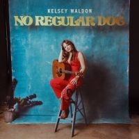 Waldon Kelsey - No Regular Dog ryhmässä CD @ Bengans Skivbutik AB (4162801)